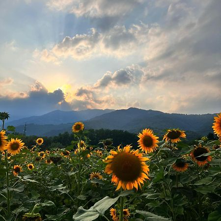 Locanda Alla Posta Cavaso Del Tomba Bagian luar foto